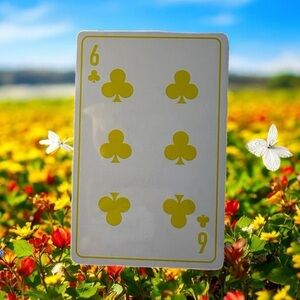 3/$25 Christian Dior 6 of Clubs Yellow Playing Card in Protective Case